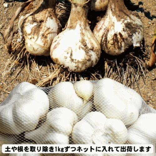 にんにく 青森 国産 2Lサイズ 5kg A品