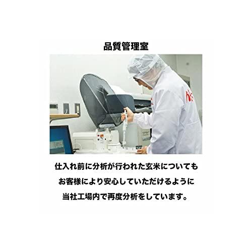  福井県産 ハナエチゼン 5kg×2袋 米 お米 白米 おこめ 華越前 単一原料米 ブランド米 10キロ 国内産 国産 令和4年産 (10kg