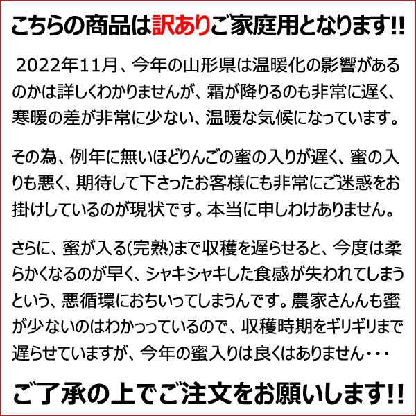 山形県産 ご家庭用 りんご サンふじ 10kg (訳あり 26玉〜46玉入り 生食可) 旬 リンゴ ふじ さんふじ 訳あり わけあり 自宅用 果物 フルーツ 産地直送 お取り寄せ