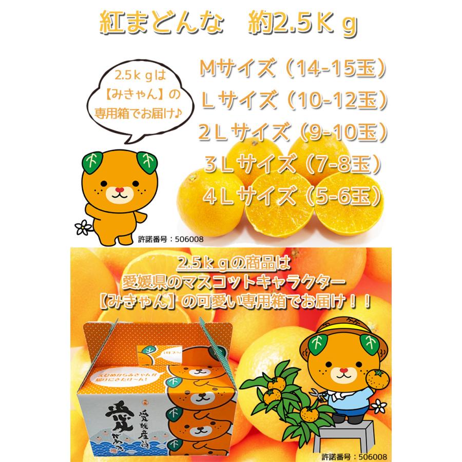 紅マドンナ 紅まどんな 訳あり 送料無料 愛媛県 紅まどんな 2.5kg みきゃん箱 2Lサイズ ぜりーのようなプルプル果肉 愛媛の貴婦人 ギフト お歳暮