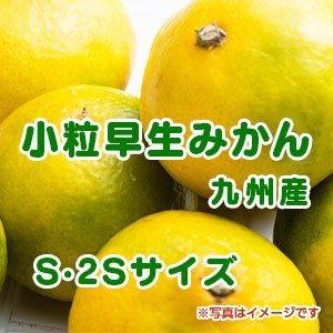 九州産　小粒完熟小粒みかん１０kg