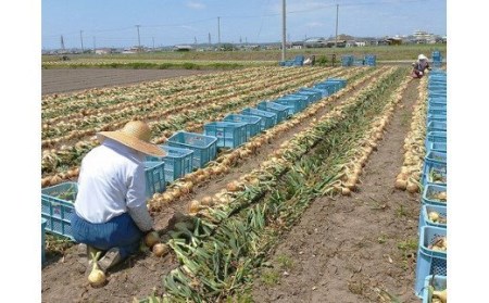 兵庫県認証食品★特別栽培★淡路島たまねぎ