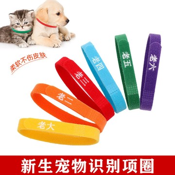 💥桃園出貨💥寵物分類項圈幼貓幼犬身份識別項圈新生小狗貓咪出生順序奶狗項鏈