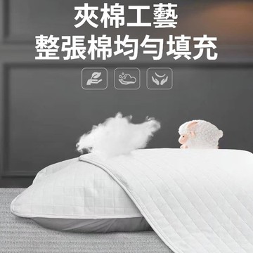 枕頭枕芯保護套 防發黃 防水枕套 枕頭保潔墊 家用成人枕套 防頭油防水枕頭巾  防止枕芯發黃 枕套 枕頭套 可水洗枕頭套