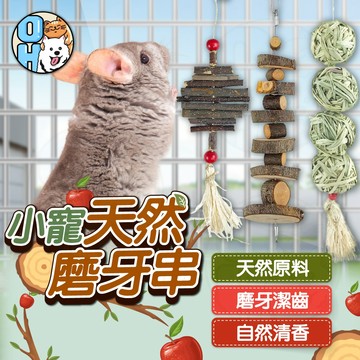 【歐豆K】天然蘋果磨牙玩具串 小寵啃咬木塊 鸚鵡 懸掛式磨牙串 倉鼠磨牙樹枝 兔子草編玩具 龍貓 薰烘蘋果枝 現採