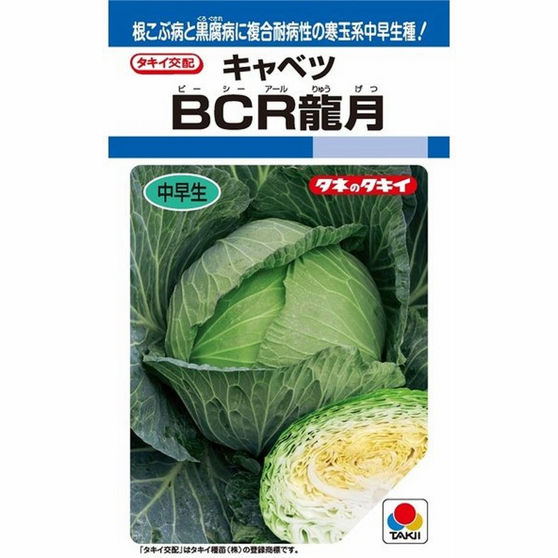 r龍月 キャベツ種子 160粒 中早生種 年内どり 冬どり タキイ種苗 通販 Lineポイント最大0 5 Get Lineショッピング