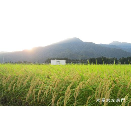 ふるさと納税 新潟県 南魚沼市 南魚沼産（しおざわ）こしひかり8割減農薬米１０Kg×6回