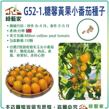 【綠藝家】G52-1.糖馨黃果小番茄種子10顆 台農2號 甜度媲美 玉女 小番茄種子 糖度高 耐熱高產量 座