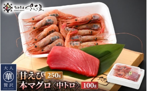 [e04-a100]  お刺身 セット 甘海老 250g × 2P ＆ 本まぐろ 中トロ 100g × 1P