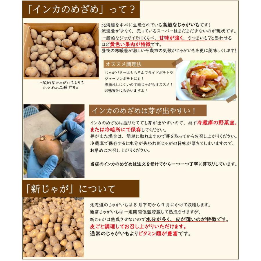 インカのめざめ 新じゃが 5kg S〜2Lサイズ混合 北海道 千歳産 じゃがいも ジャガイモ 送料無料 訳あり