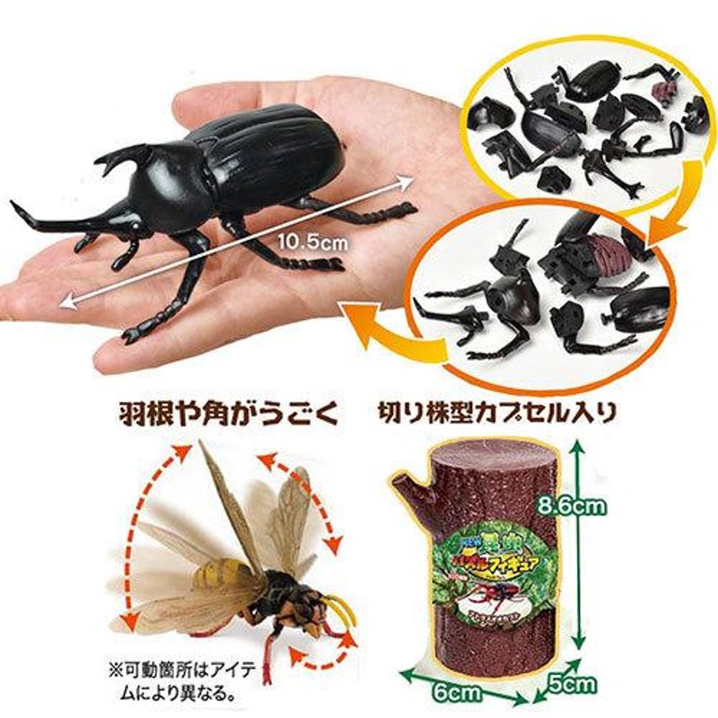 12体セット 超リアル ビッグ 昆虫 4D パズル フィギュア 甲虫