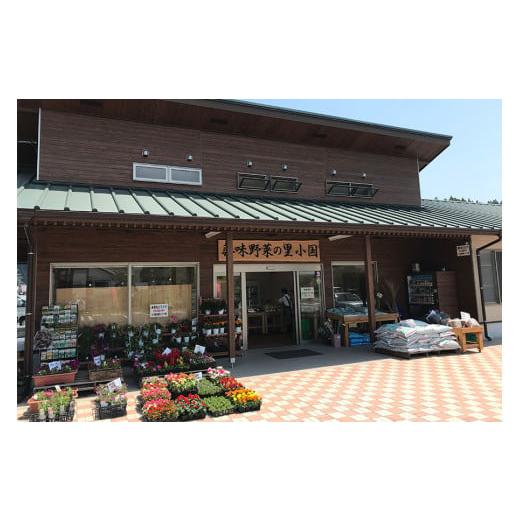 ふるさと納税 熊本県 小国町 阿蘇小国産・旬の野菜とお米5kgの詰め合わせ