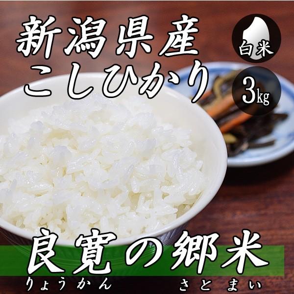 お米 3kg 新潟産 コシヒカリ 良寛の郷米 3kg×1袋 令和5年産 米 白米