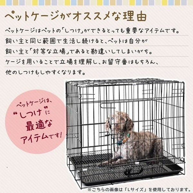 小型犬用クレート 携帯 猫ちゃんも可