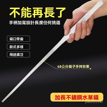 不鏽鋼水草夾 不銹鋼鑷子 爬蟲餵食夾 寵物食物夾 微景觀 多肉植物 苔蘚盆栽 水族工具 園藝工具 TV1L