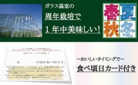 クラウンメロン　白　２玉入　上