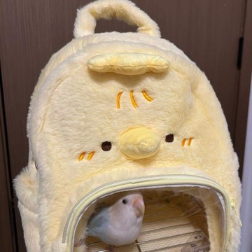 免運優惠✨高品質 鸚鵡牡丹虎皮出門包玄風外帶籠斜跨透氣鳥包外帶包小鳥冬天用品 高 CP 值好物 品質超穩