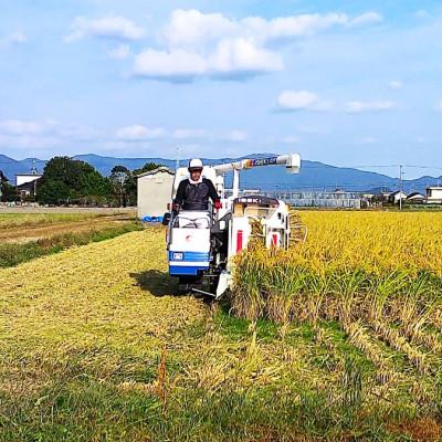 ふるさと納税 防府市 栽培期間中農薬・肥料不使用で作った朝日米　玄米20kg