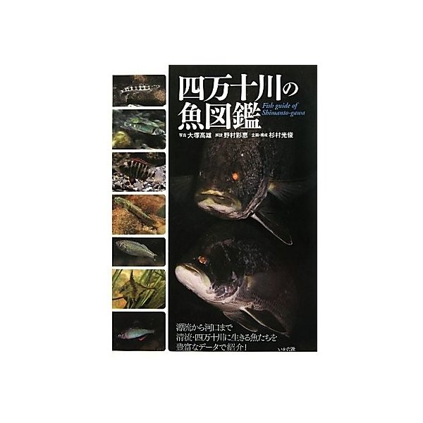 四万十川の魚図鑑 中古書籍 通販 LINEポイント最大GET  LINEショッピング
