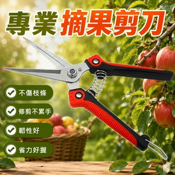 台灣現貨🌟不鏽鋼修枝剪 修枝剪 園藝剪 樹枝剪 剪樹刀 樹枝剪刀 剪刀 休枝剪 剪樹刀 園藝剪刀 果園尖頭摘果剪