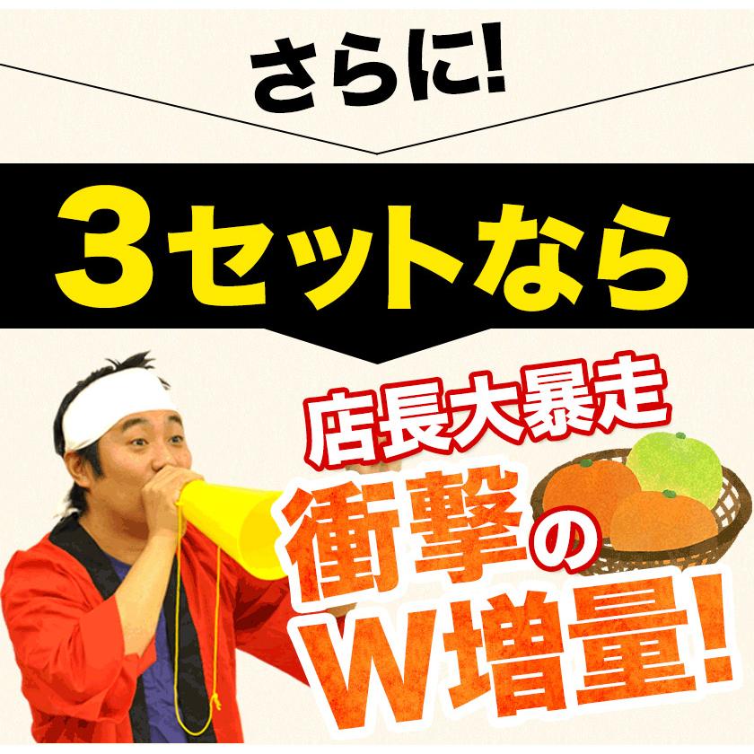 スイートスプリング 1.5kg 訳あり 熊本県産 送料無料 旬 の みかん   (3L〜Sサイズ 3L-S混合)  12月上旬〜12月下旬頃より発送予定