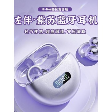 佐伴紫蘇藍牙耳機zoob不入運動骨傳導2025新款超長續航大電量無線