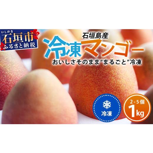 ふるさと納税 沖縄県 石垣市 石垣島産まるごと冷凍マンゴー　2〜5個  約1kg 【ふるさと納税 マンゴー 産地直送 フルーツ 果物 沖縄県石垣市 石垣 …