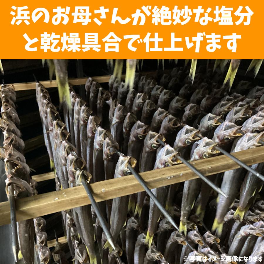 干物 ＆ 蒲鉾 セット 冷蔵 富山 父の日 ギフト 贈答品 お土産 魚の干物 かまぼこ 焼き魚