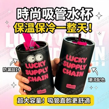 🔥高雄出貨🔥高顏值 ins 吸管保溫杯 不鏽鋼保溫保冷兩用杯 咖啡奶茶專用杯 男女通用時尚吸管杯 大容量便攜水杯