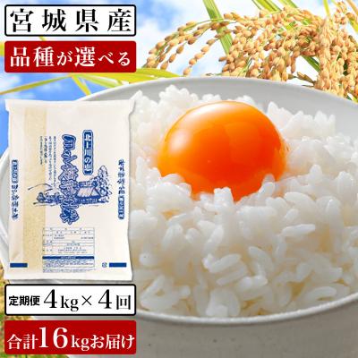 ふるさと納税 石巻市 令和5年産ヨシ腐葉土米 精米16kg(4kg×4回発送)つや姫