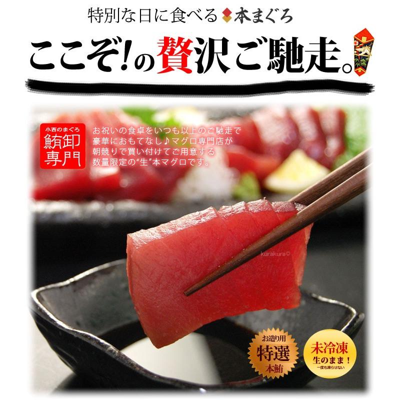 生本マグロ 中トロ ブロック (約500g) 国産 (主に 鹿児島産 長崎産 高知産) 蓄養 生まぐろ 生マグロ 生鮪 中トロ 中とろ 生本まぐろ 本まぐろ 鮪 まぐろ マグロ