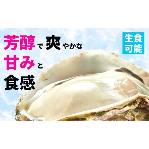 ふるさと納税 島根県 海士町 生のいわがき春香 Sサイズ6個  生牡蠣 牡蛎 牡蠣 かき 岩牡蠣 生食可能 冷蔵