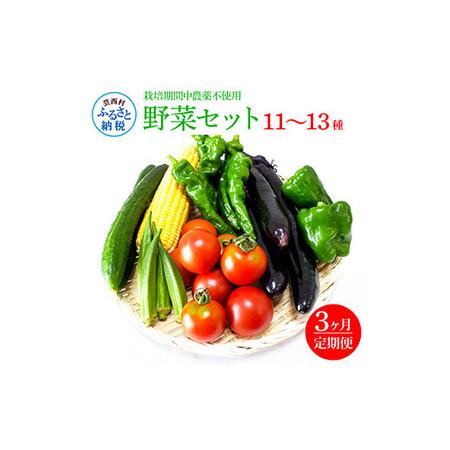 ふるさと納税 野菜セット（11‐13種類）《3カ月定期便》 栽培期間中農薬不使用！ 季節の野菜 定期コース 定期 無農薬 野菜 やさい 新鮮 自然 健.. 高知県芸西村