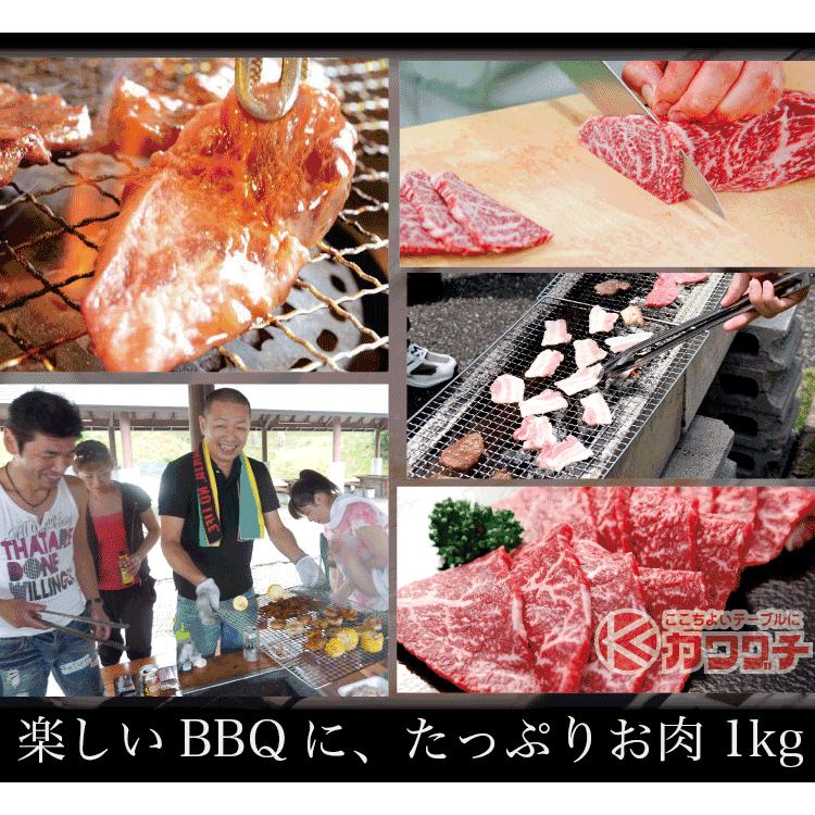 ギフト 肉 焼肉 福袋 1kg 肉 3種盛 焼肉セット 国産牛 訳あり ハラミ 豚 カルビ バーべキュー