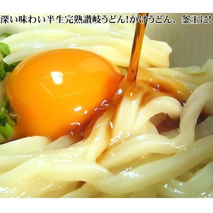 送料無料（北海道・沖縄除く） うどん 大満足バラエティー12人前セット お中元 お歳暮 内祝い 贈り物 お返し お見舞い 新築祝い ギフト等におすすめ！