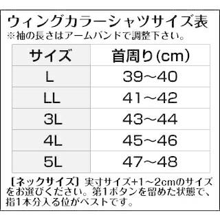 モーニングレンタル フルセット モーニング レンタル 大きいサイズ 結婚式 礼服 メンズ NT-02-BIG あすつく対応 往復送料無料