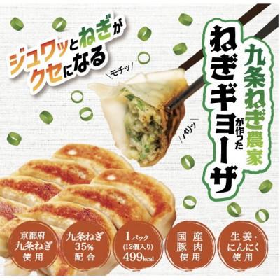 ふるさと納税 宇治田原町 九条ねぎ農家が作ったねぎギョーザ(12個×10パック)