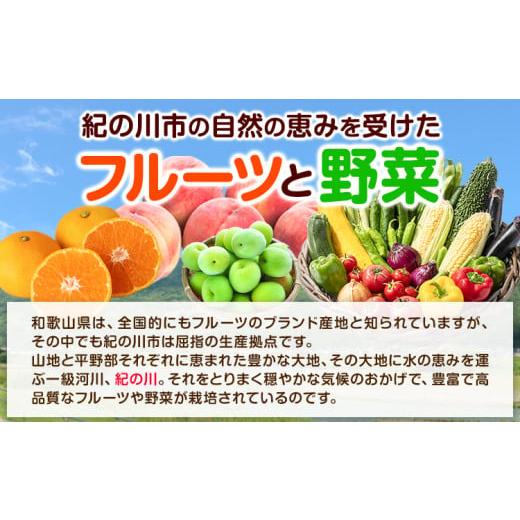 ふるさと納税 和歌山県 紀の川市 紀の川市の恵み 旬のフルーツ＆野菜セット 計8~10品《お申込み月翌月から出荷開始》和歌山県 紀の川市 フルー…