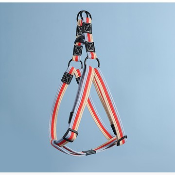 寵物防暴衝胸背帶牽繩套組xs