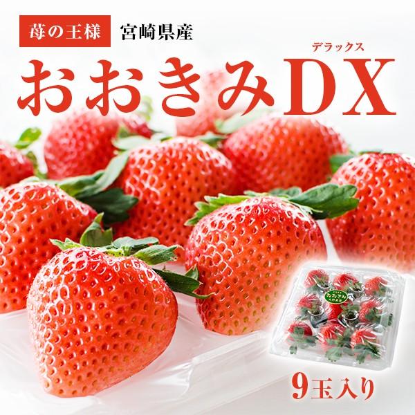 おおきみDX（９玉サイズ）