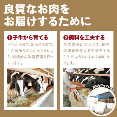 ふるさと納税 鳥取市 鳥取牛ヒレステーキ 3枚(390g)