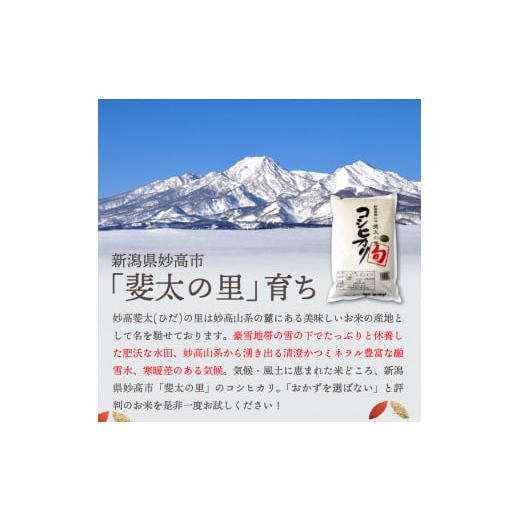 ふるさと納税 新潟県 妙高市 新潟県妙高産斐太の里コシヒカリ「旬」10kg(5kg×2袋)