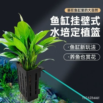 🚚台灣12H🚚魚缸水培植物籃家用水草種植杯壁掛式挺水植物定植籃魚缸造景裝飾MZ44
