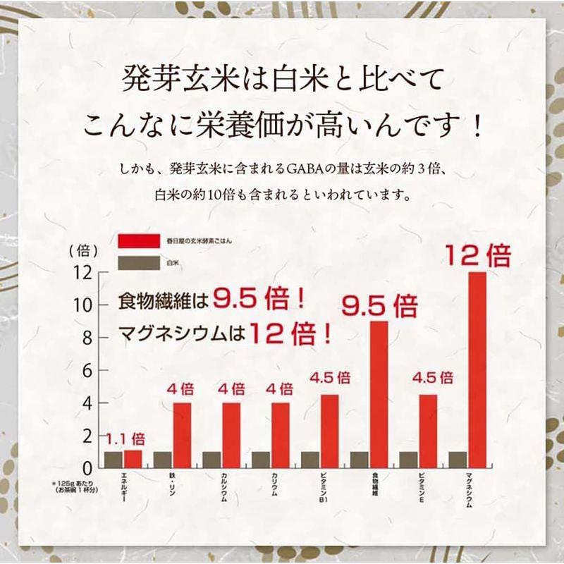 常温タイプ 春日屋 3日寝かせ 発芽酵素玄米ごはん レトルト 125g 常温パック×12食 酵素玄米 発芽玄米 玄米 ご飯パック