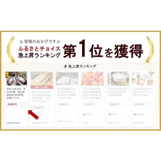 ふるさと納税 京都府 京丹後市 京都・久美浜産　殻付き牡蠣　2kg（20個前後）　牡蠣ナイフ付