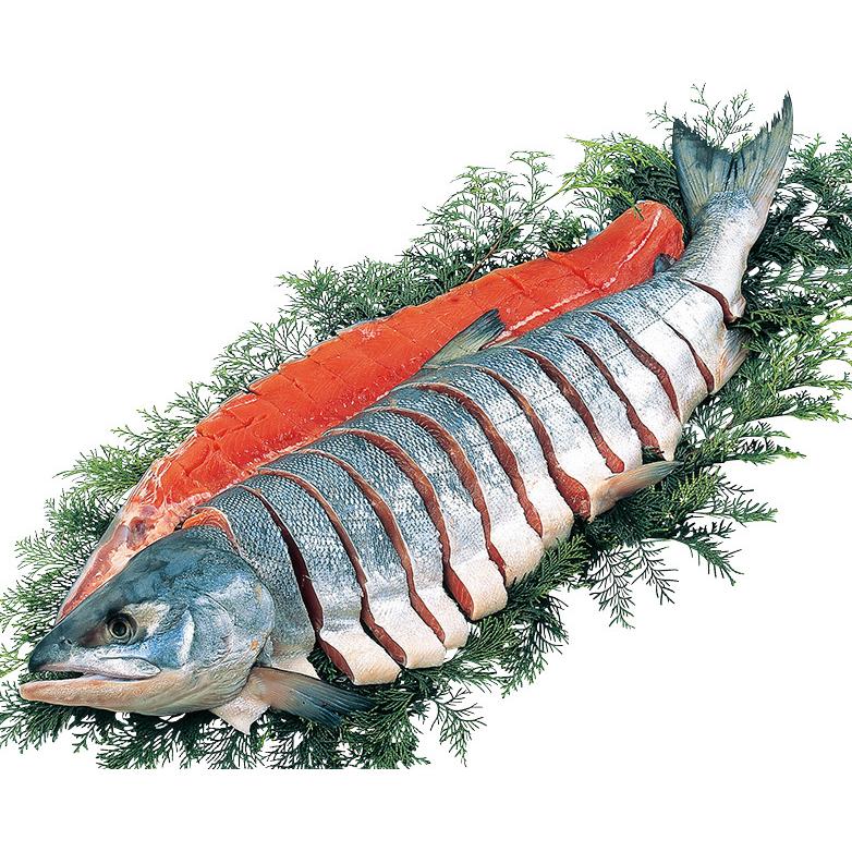 お歳暮 冬ギフト 北海道雄武産天然新巻鮭姿造り切り身 送料無料