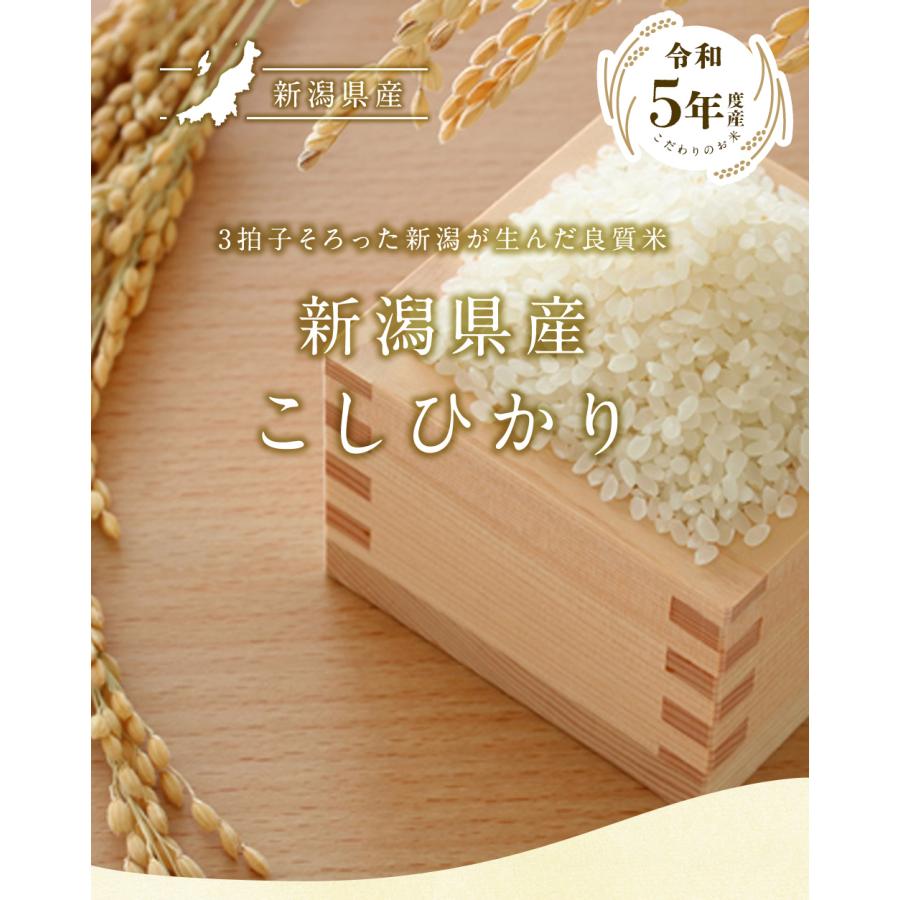 新米 新潟県産 コシヒカリ 5kg（5kg×1袋） 送料無料  令和5年度産 新潟県産 精米 米 お米 5kg（北海道・沖縄別途送料）（配達日・時間指定は不可）