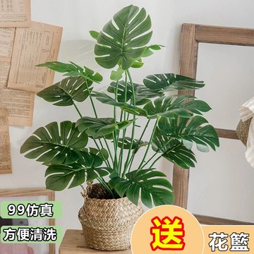 【仿真盆栽】仿真花  真龜背葉仿真 植物綠色 龜背竽 植物盆栽 仿真花 商業擺飾假花 仿真 綠化植物  小盆栽