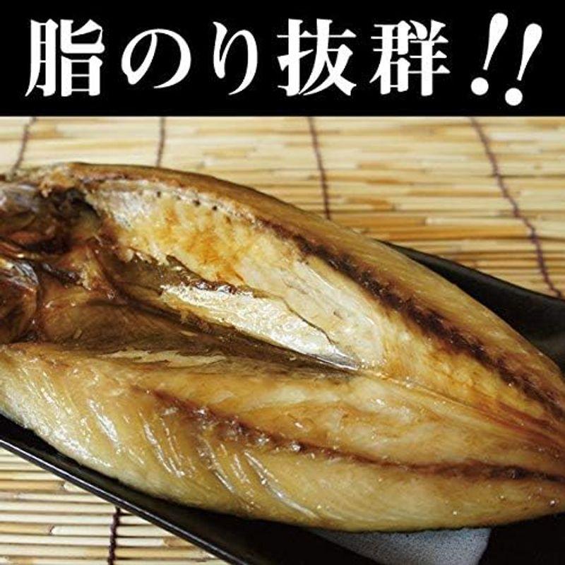 干物 サバ 一夜干し 約270g 北海道産 ジューシーな味わい