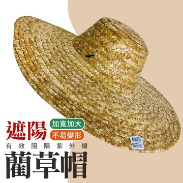 蘭草帽1尺6寸(48CM) 斗笠 遮陽帽 園藝用具大草帽